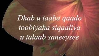 Somali Lyrics Song  Codkii  Abdulkadir Jubba  Heestii  Faaduma [upl. by Reiniar]