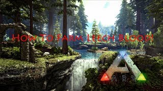 HOW TO GET LEECH BLOOD HOW TO FIND LEECHES IN ARK SURVIVAL EVOLVED  Xbox One PS4 PC EASY [upl. by Ainud809]