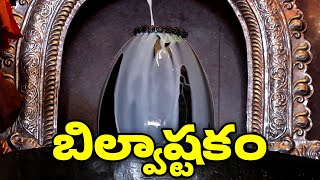 బిల్వాష్టకం  Bilvashtakam Full  Lord Shiva Bhakthi Songs [upl. by Nikos]