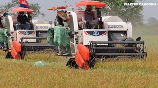 Awesome Rice Harvester Working Skills Machine  Technology Agriculture Crop Machine Equipment [upl. by Aneloc]