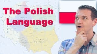 The Polish Language Is this real [upl. by Attelahs]