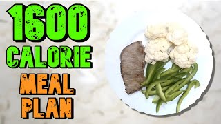 HIGH Protein 1600 Calorie Meal Plan For Weight Loss [upl. by Ylrbmik]