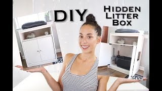 DIY HIDDEN CAT LITTER BOX INEXPENSIVE [upl. by Worrell]