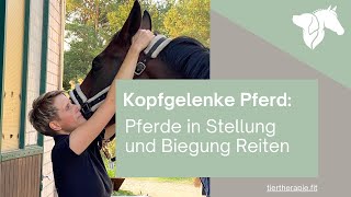 Kopfgelenke Pferd Pferde in Stellung und Biegung Reiten [upl. by Hirsh255]