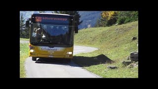 Im Grindelwaldbus zur Grossen Scheidegg [upl. by Mcgaw]