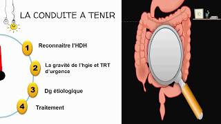 CAT hémorragie digestive haute 🤮  HépatoGastroEntérologie [upl. by Shaw]