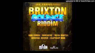 DJ LYTA  BRIXTON BOUNCE RIDDIM MIXX [upl. by Orvas]