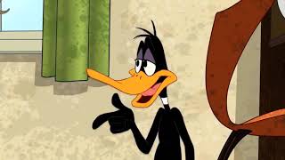 Daffy Duck VS Tasmanian Devil quotTazquot  quotTasmanian Meltdownquot Song HD [upl. by Airamanna]