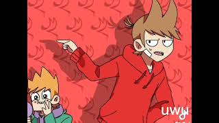 tord tom edd matt uwu [upl. by Godden788]