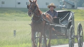 The Amish Shunned and Excommunicated [upl. by Assirral]