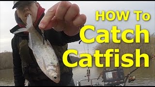 How to catch channel catfish  How I fish for catfish Bait Rigs Net [upl. by Nnylirej]