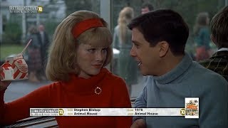 Stephen Bishop  Animal House Animal House 1978 [upl. by Soalokin833]