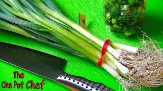 Quick Tips Saving Leftover Spring Onions  One Pot Chef [upl. by Ayalat]