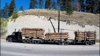 LOGGING TRUCKS 26  Logging Trucks amp Various Big Rigs On The Move [upl. by Nutter]