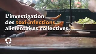 Linvestigation des toxiinfections alimentaires collectives [upl. by Lolita232]