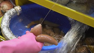 Korean Fish Market spoon worm live sashimi gaebul  가락시장 개불 [upl. by Noakes116]