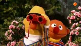 Bert en Ernie duiven spotten [upl. by Corin]