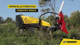 RoboMAX  Verricello forestale  Forestry Winch  Energreen [upl. by Htebiram]