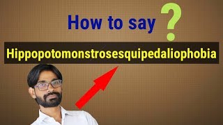 Hippopotomonstrosesquipedaliophobia  How to say  Pronunciation [upl. by Kalvin194]