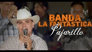 Pajarillo quotMaquillaje A Granelquot  En Vivo  Banda La Fantastica  Vol 3 [upl. by Bred421]