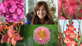 5 Popular Bulbs You Can Plant Now for Gorgeous Summer Color 🌸🌼🌺  Garden Answer [upl. by Pembroke443]