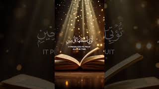 The Beauty of Quranic Verses  Reflections and Insights  youtubeshorts shorts virulshorts [upl. by Jovi]