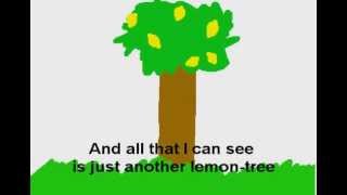 LEMON TREE  Fools Garden with LYRICS [upl. by Holland]