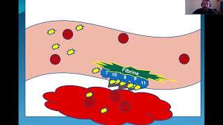 Questce que lhémophilie [upl. by Adna]