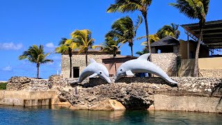 Inside Ocean World Adventure Park  Puerto Plata Dominican Republic [upl. by Nede]