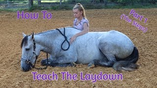 How To Teach Your Horse The ‘Laydown Part 1 No RopesNo Force [upl. by Siddon]