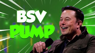 BSV MASSIVE PUMP IS FINALLY HERE  BITCOIN SV PRICE PREDICTION FOR 2024 amp FORWARD [upl. by Sudhir]