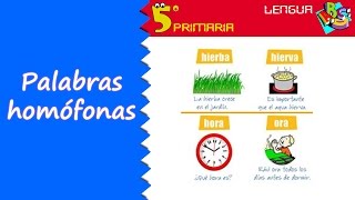 Palabras homófonas Lengua 5º Primaria Tema 4 [upl. by Michella]