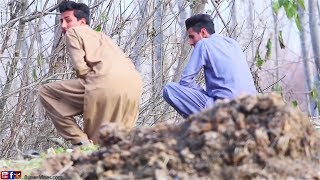 Buner Vines New Video 2019Govt Tex Of Pakistan [upl. by Colman]