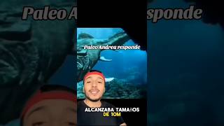 ¿Dunkleosteus medía 10 metros 🤔 reaccion science pez [upl. by Goulden420]