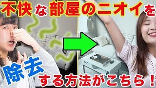 【衝撃】不快な部屋のニオイを除去する方法がこちら！ [upl. by Aneekan]