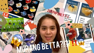 WHERE TO BUY BETTA FISH IN THE PHILIPPINES [upl. by Buford120]