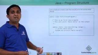 Java  Program Structure [upl. by Orapma]