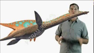 Dinosaur Discoveries Elasmosaurus [upl. by Ecirb]