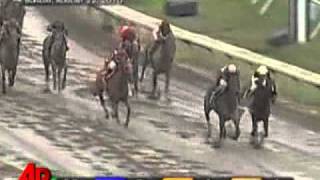 Raw Video Names Make for Hilarious Horse Race [upl. by Minnie]