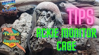 Ackie Monitor Cage Must Haves [upl. by Karia]