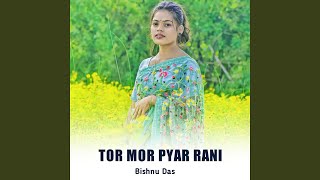 Tor Mor Pyar Rani [upl. by Dianthe]