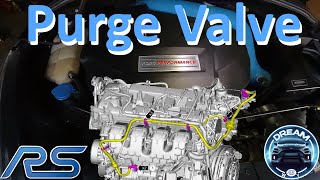 Focus RS Vapor Canister Purge Solenoid Valve Replacement [upl. by Daniala716]