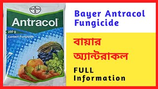 Bayer Antracol  Full Details  Propineb 70 wp In Bengali 100 Solution [upl. by Cheke]