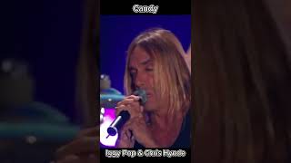 Iggy Pop amp Chris Hynde  Candy [upl. by Ras]