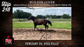 Ruidoso Select Yearling Hip 218 [upl. by Atinat]