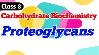 Proteoglycans  Carbohydrate Biochemistry Class 8 [upl. by Enra]