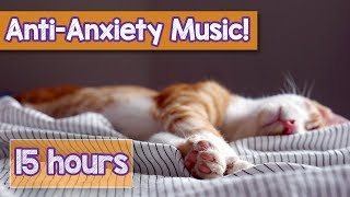 Calming Music for Cats with Anxiety Deep Soothing Music for Anxious ill and Stressed Cats 2018 [upl. by Donavon]