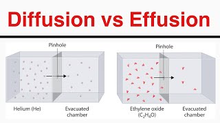 What is Difference Between Diffusion and Effusion [upl. by Aisel859]