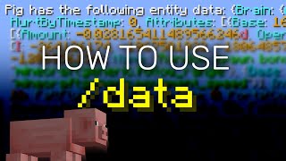 How to customly rename Items in Minecraft I Command Block tutorial [upl. by Cthrine974]