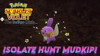 How To EASILY Shiny Hunt Mudkip In Pokemon Scarlet and Violet the Indigo Disk [upl. by Daniala]